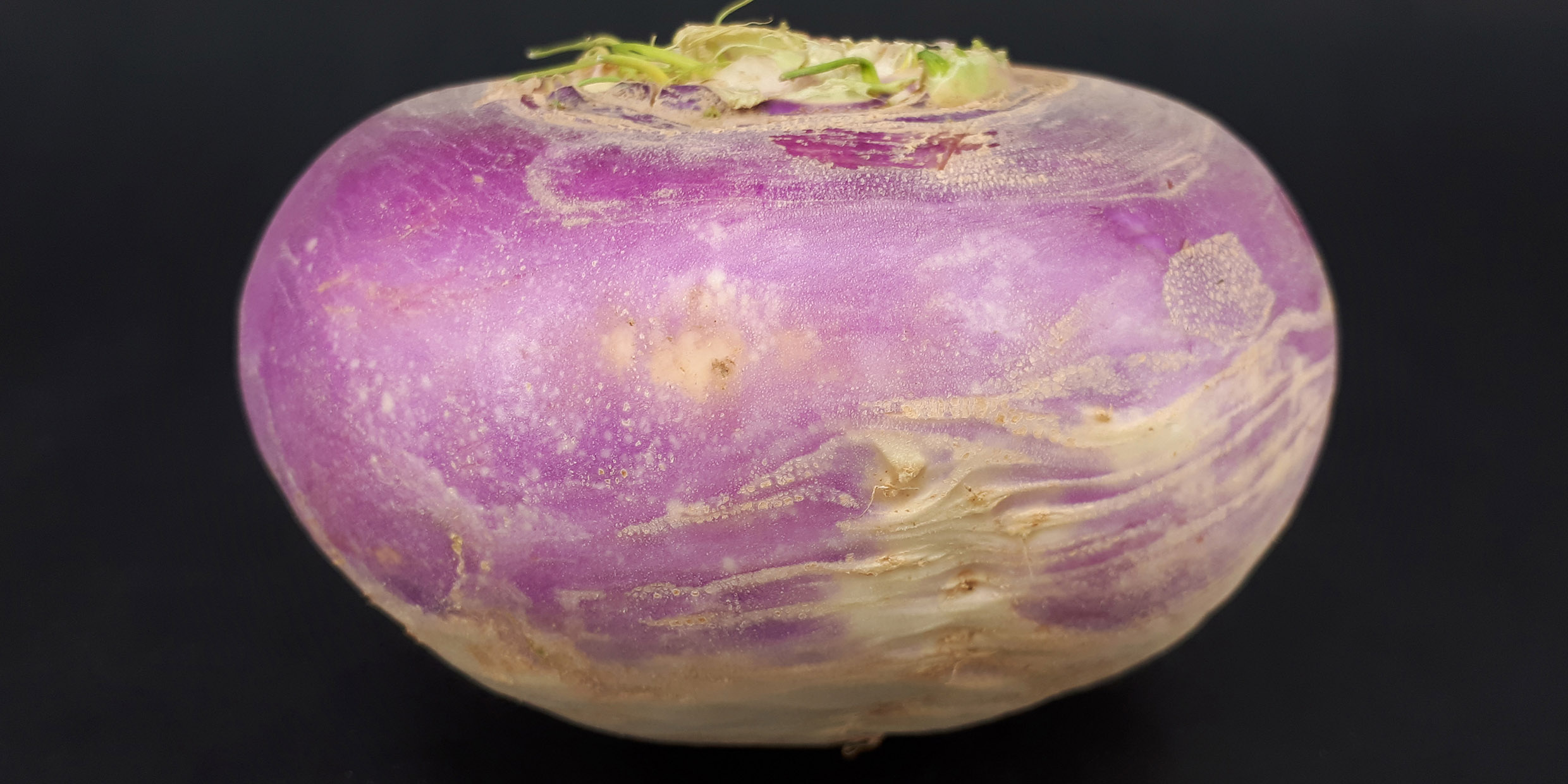 My very distant cousin, the turnip