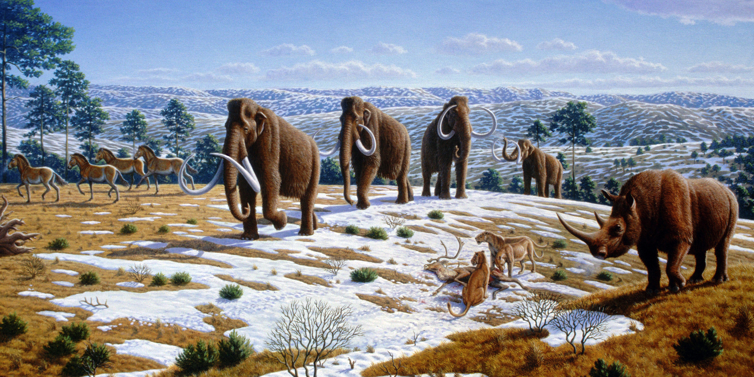 Image of Ice Age mammals