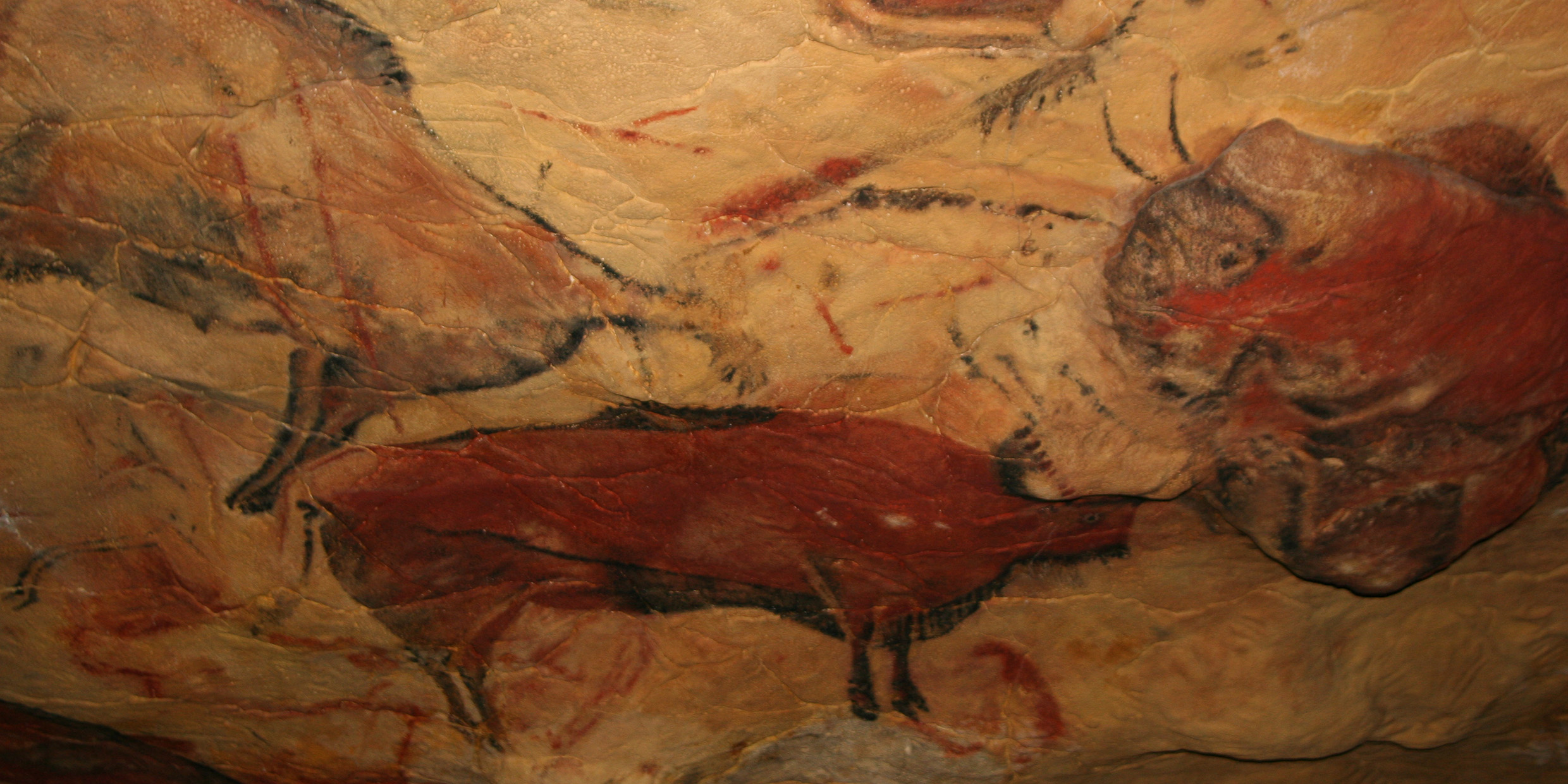 Image of cave paintings