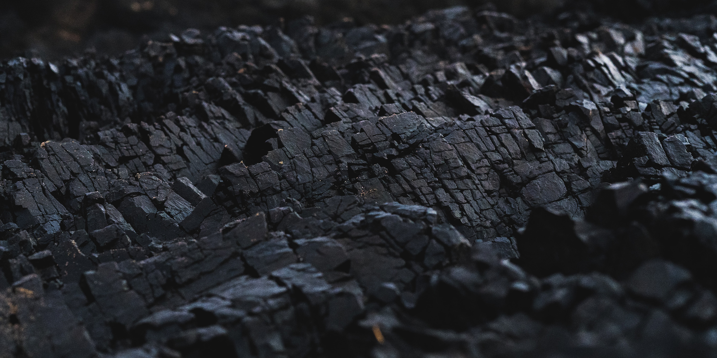 Image of coal bed