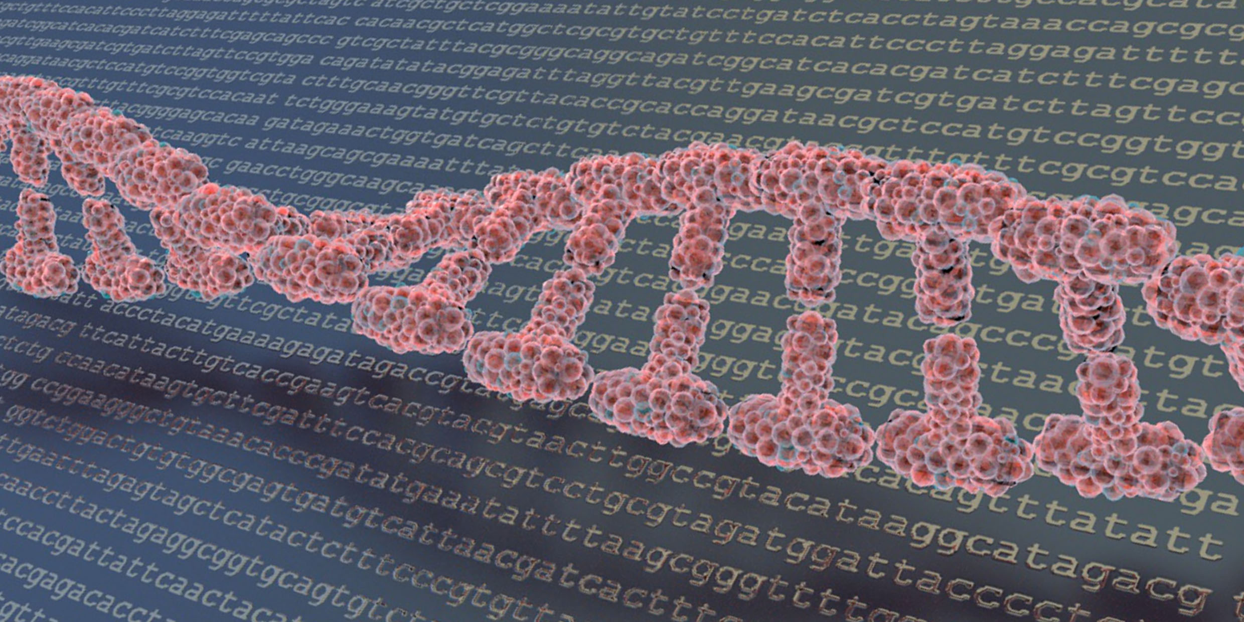 Computer-generated image of DNA molecule