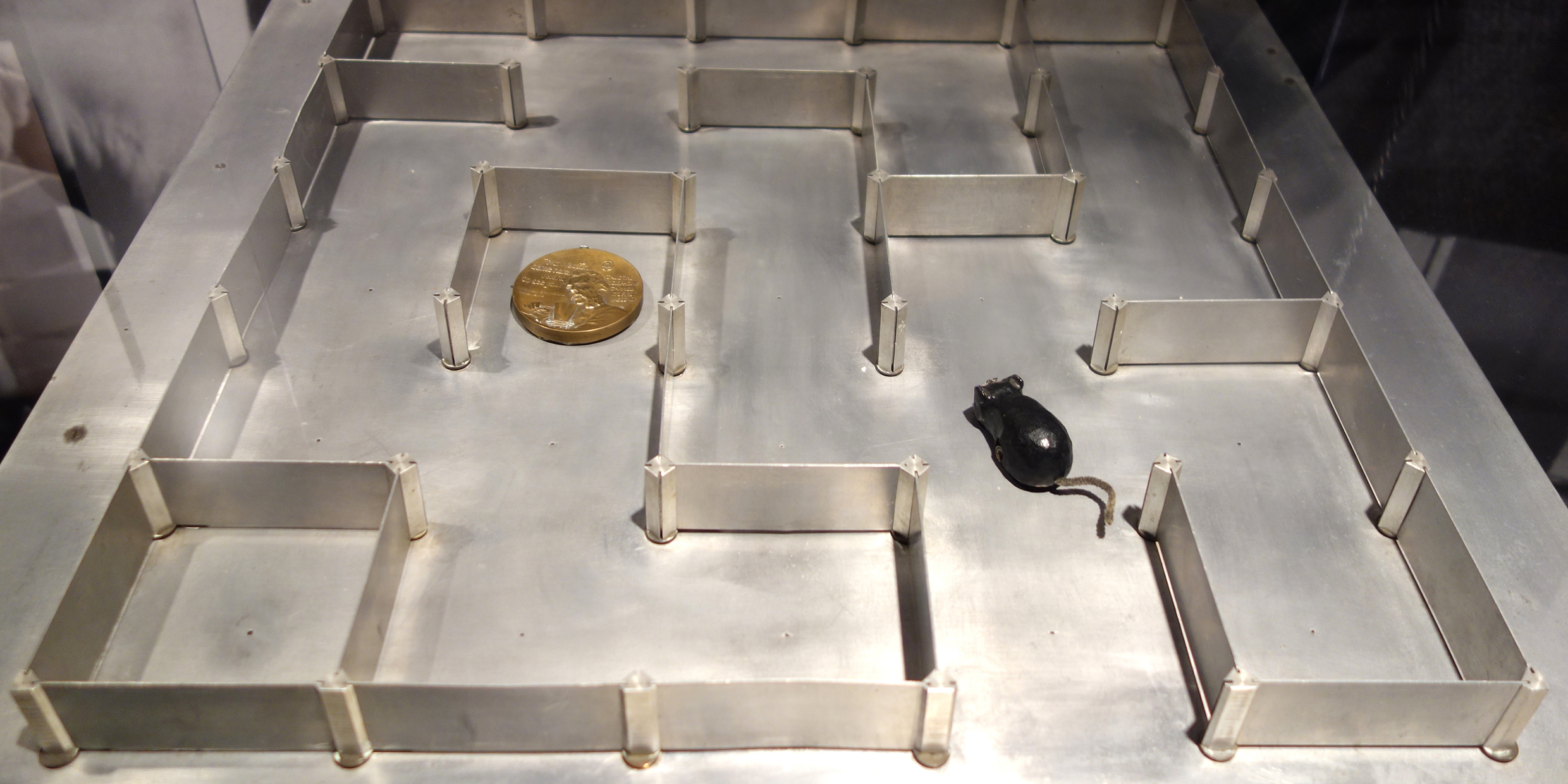 Image of a laboratory maze and mouse