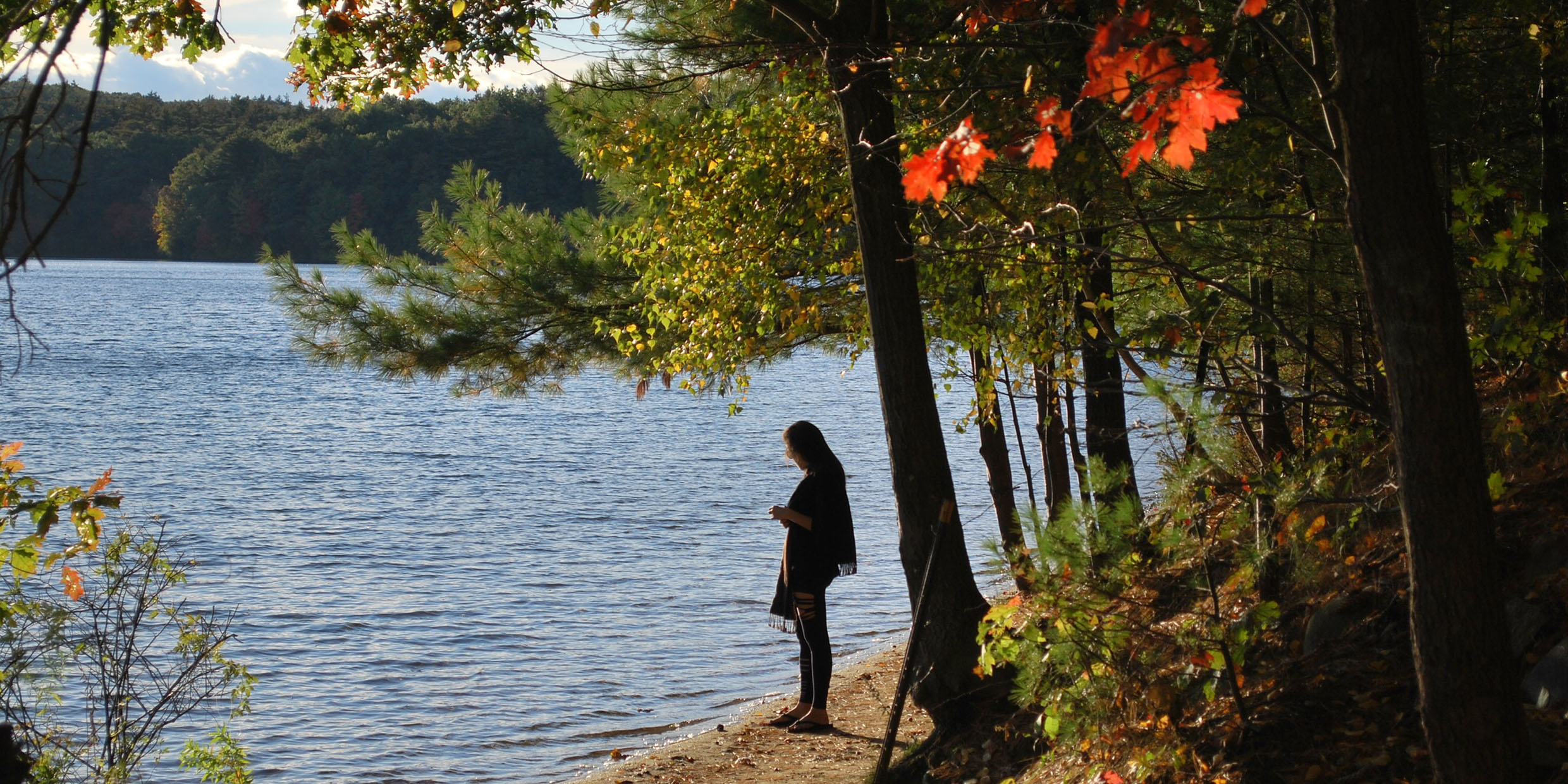 Photo of woman standing beside pond in woodland