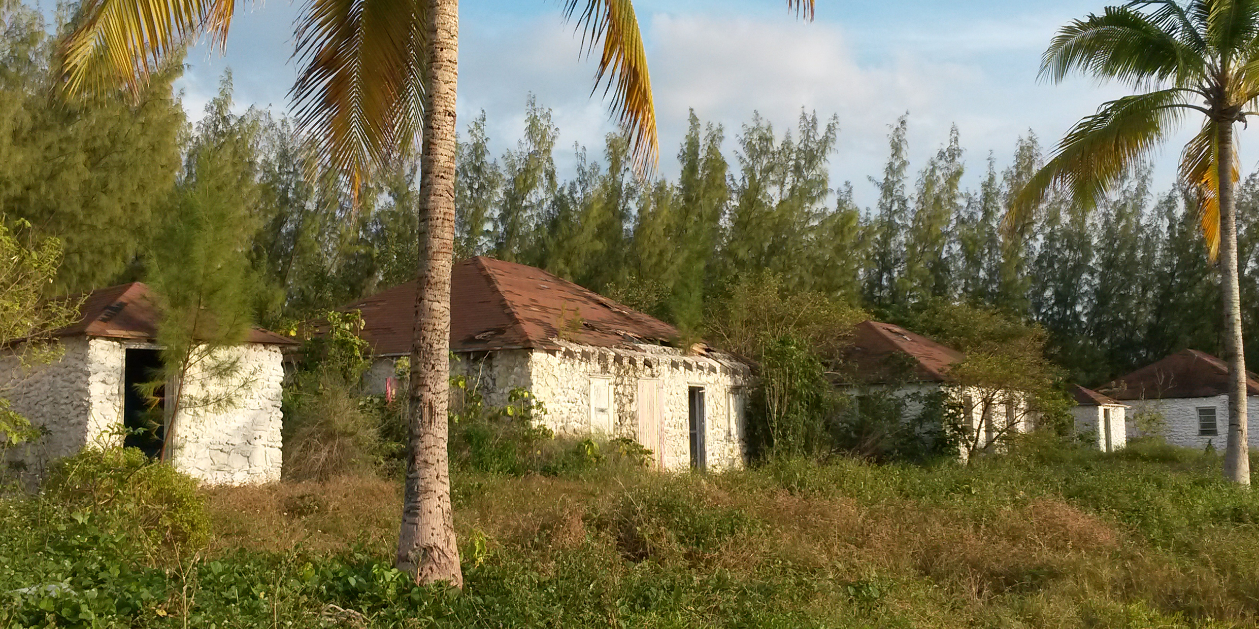 Image of abandoned and overgrown island dwellings