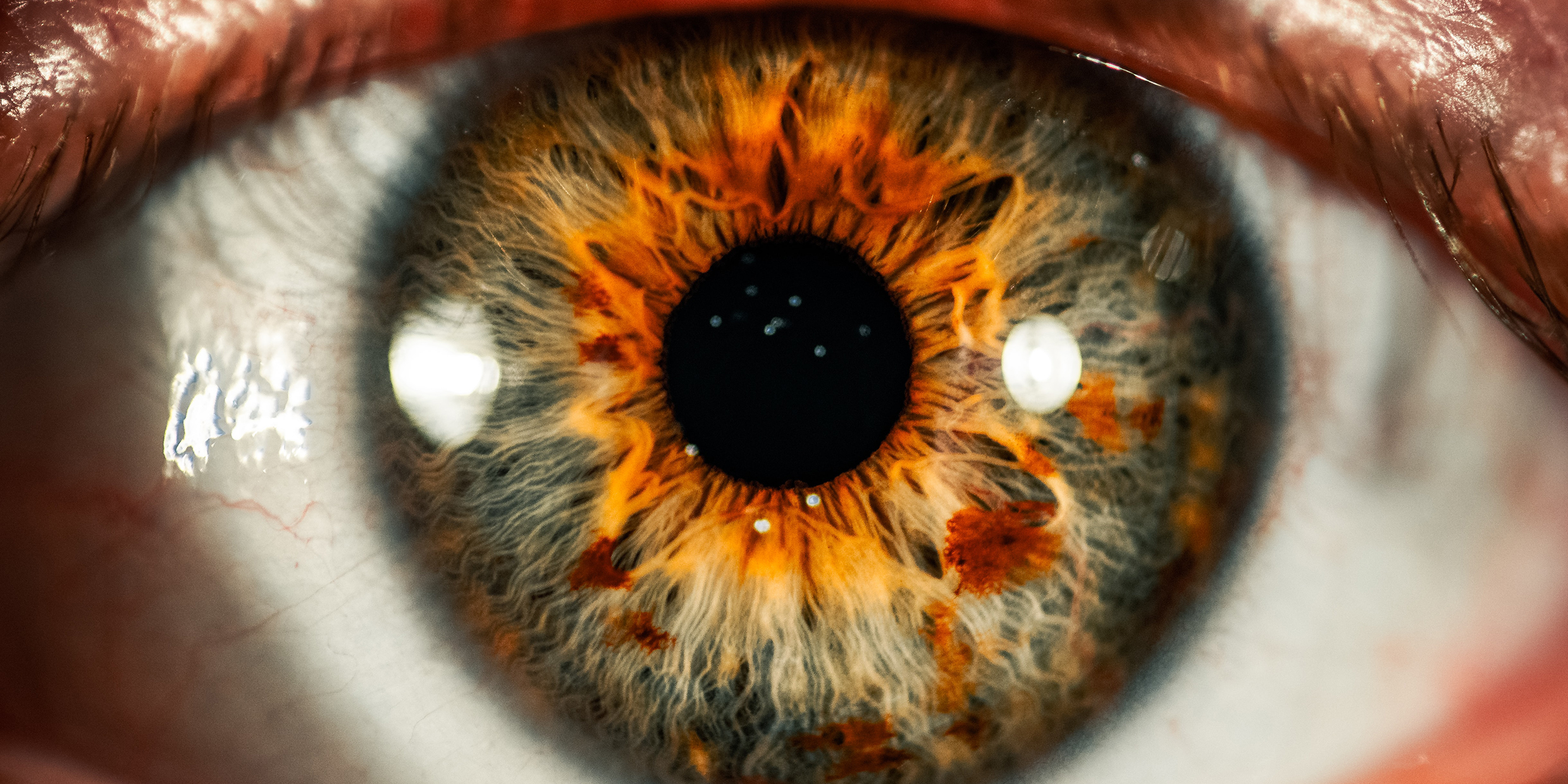 Extreme close up image of a human eye