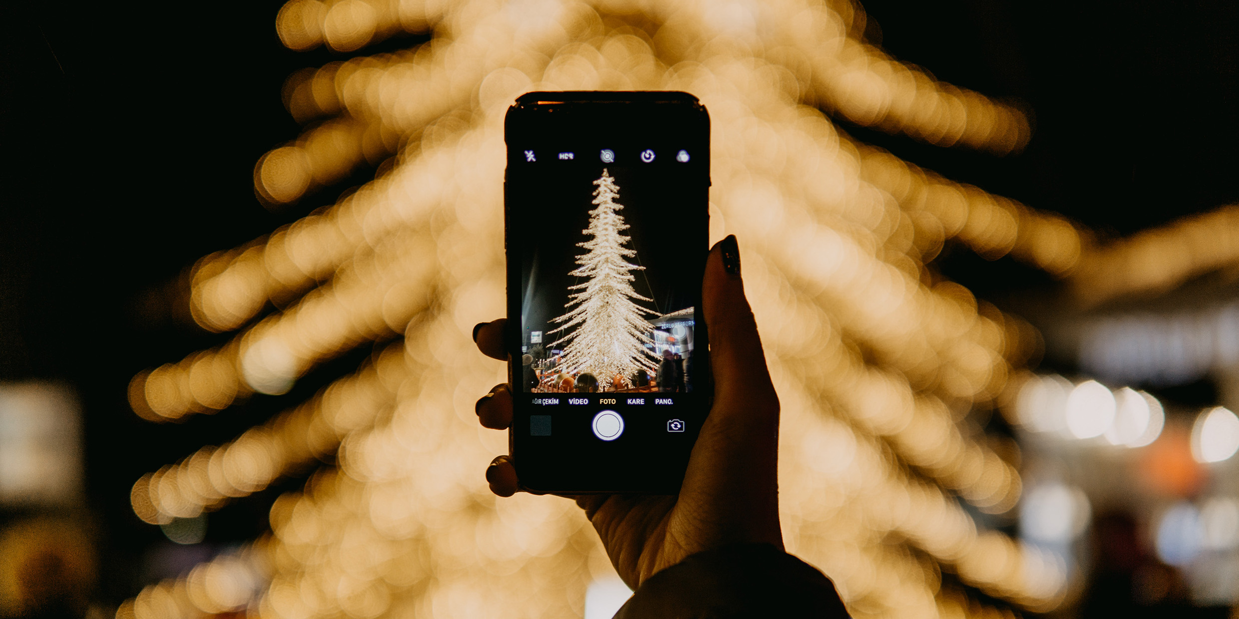 Image of a hand holding a mobile phone which is taking a photograph of a Christmas tree